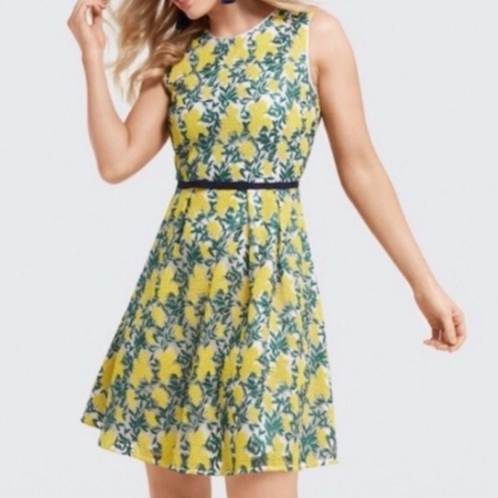 Draper James Lemon Print Embroidered Fit & Flare Dress – Size 6